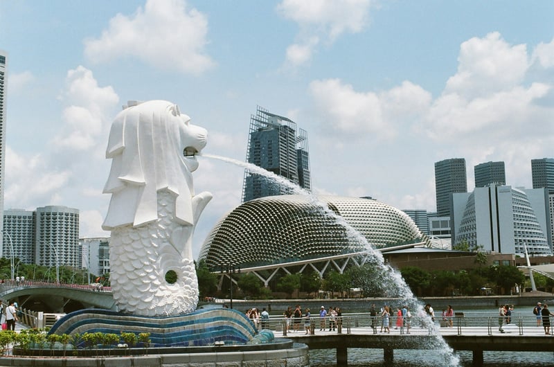 What Sets the Best International Schools in Singapore Apart