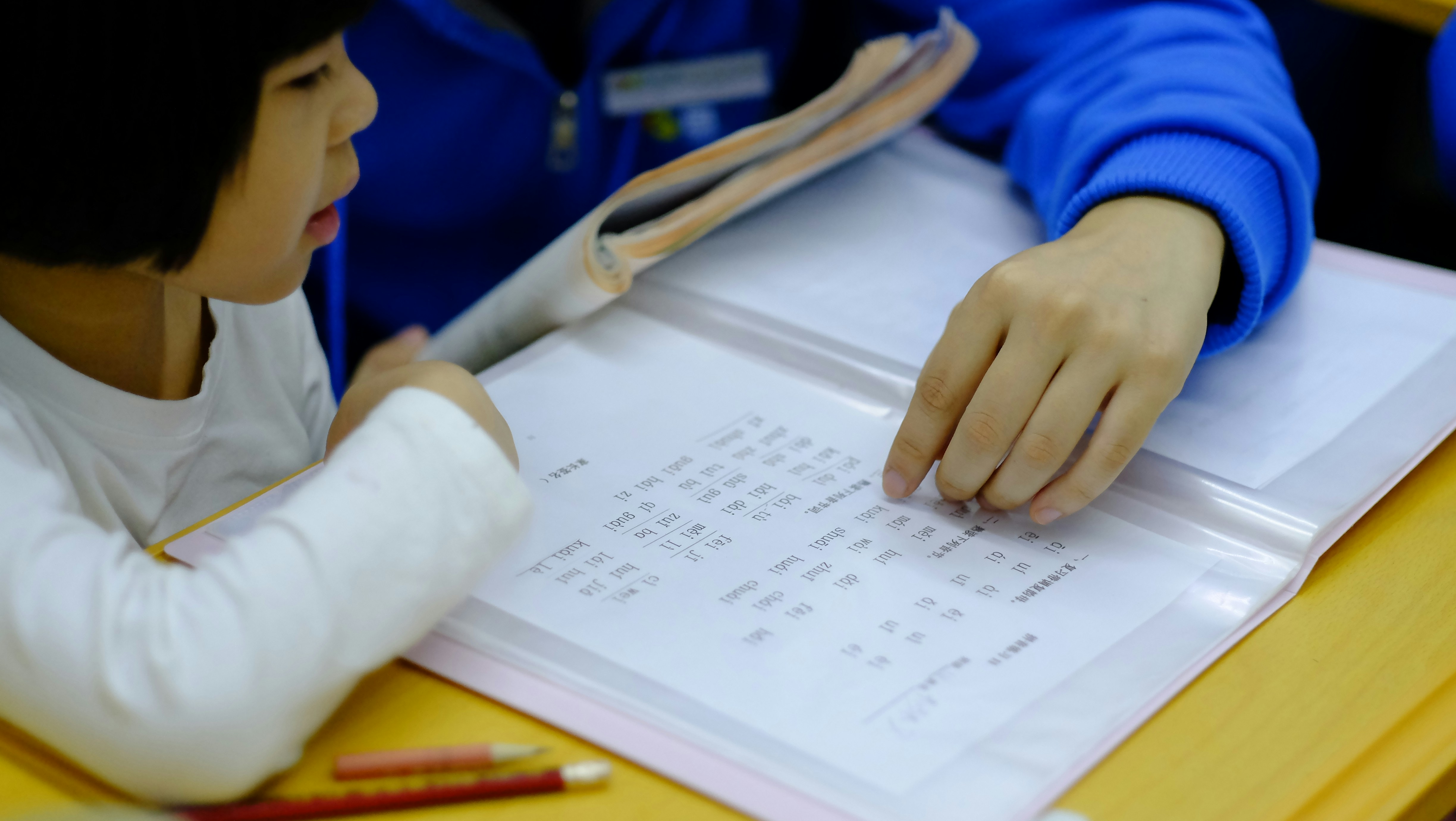 Chinese Curriculum