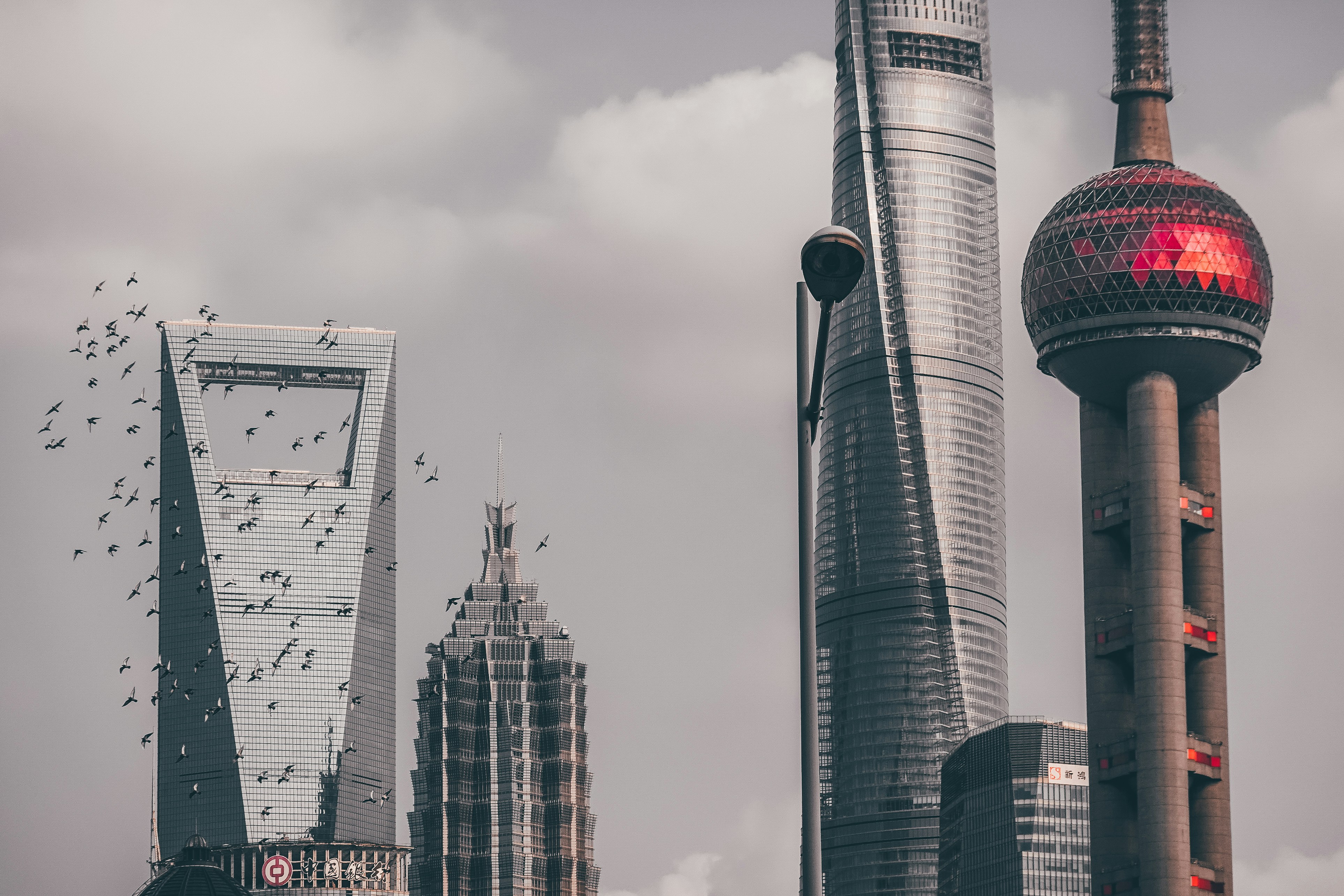 shanghai city